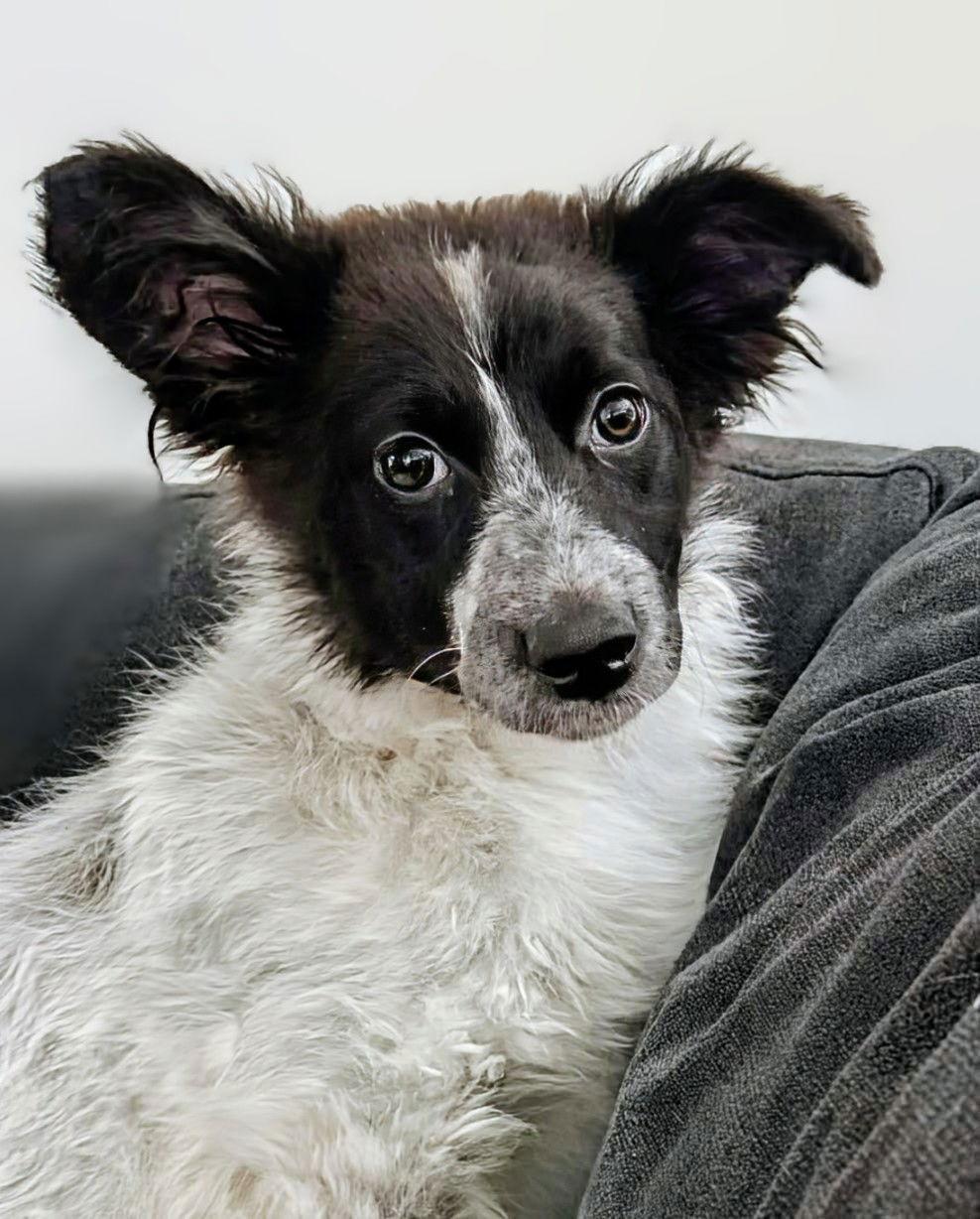 Amirah — thumbnail 3