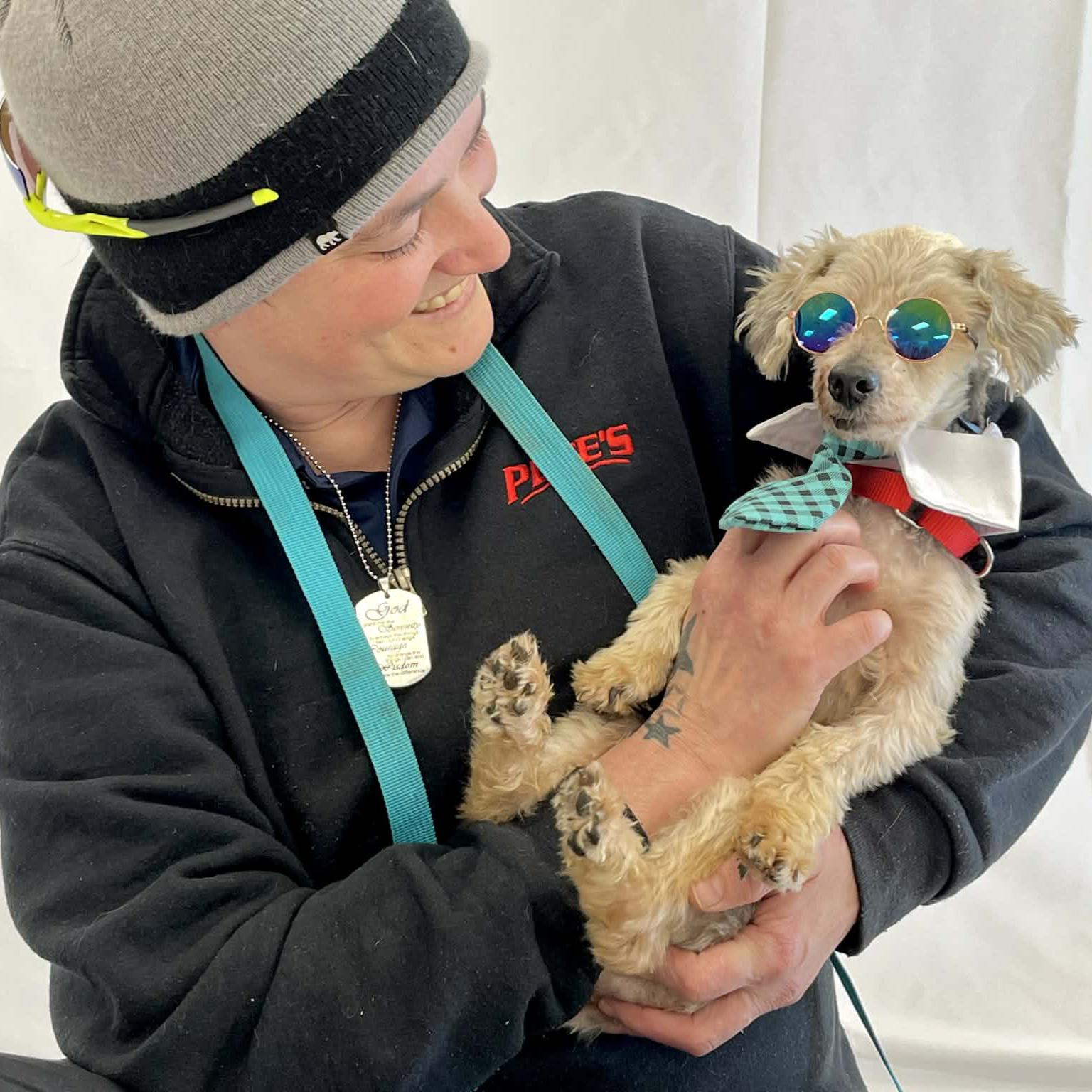 Enlarge Theo, a ADOPTABLE mixed breed in Shawnee, KS image 2/2