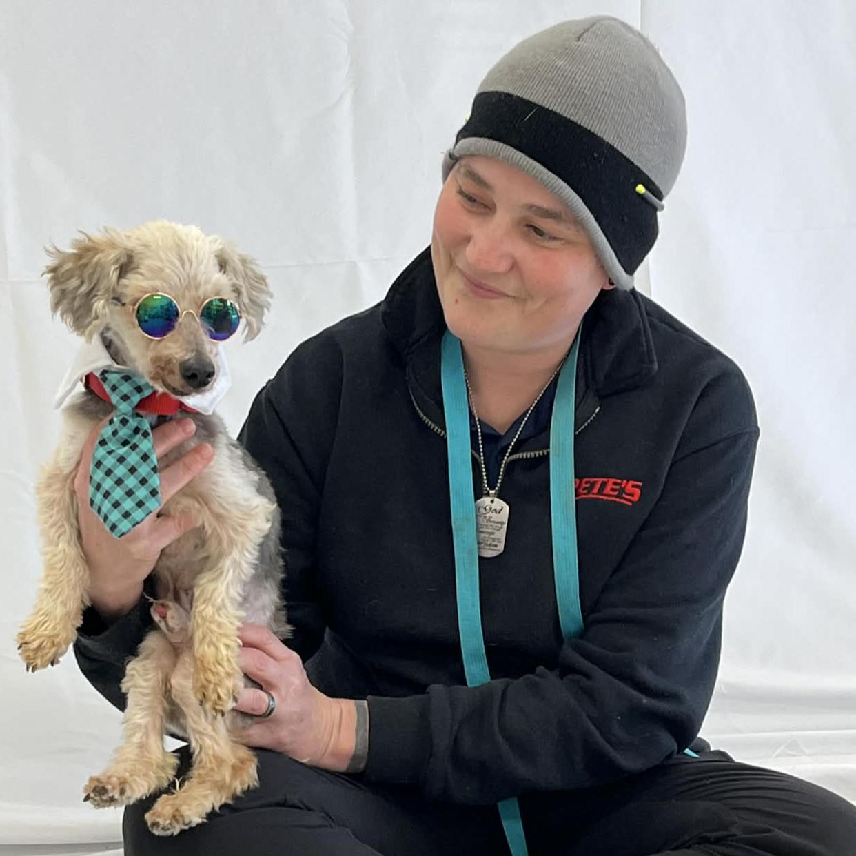 Theo, ADOPTABLE, Senior Male Poodle.