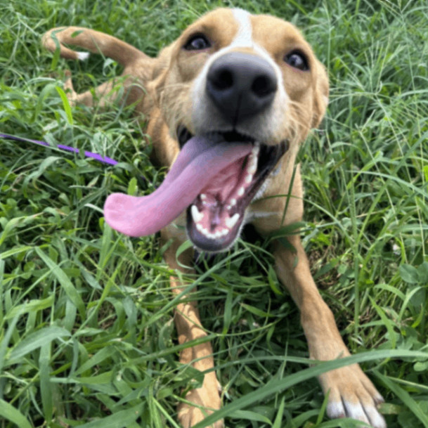 Molly