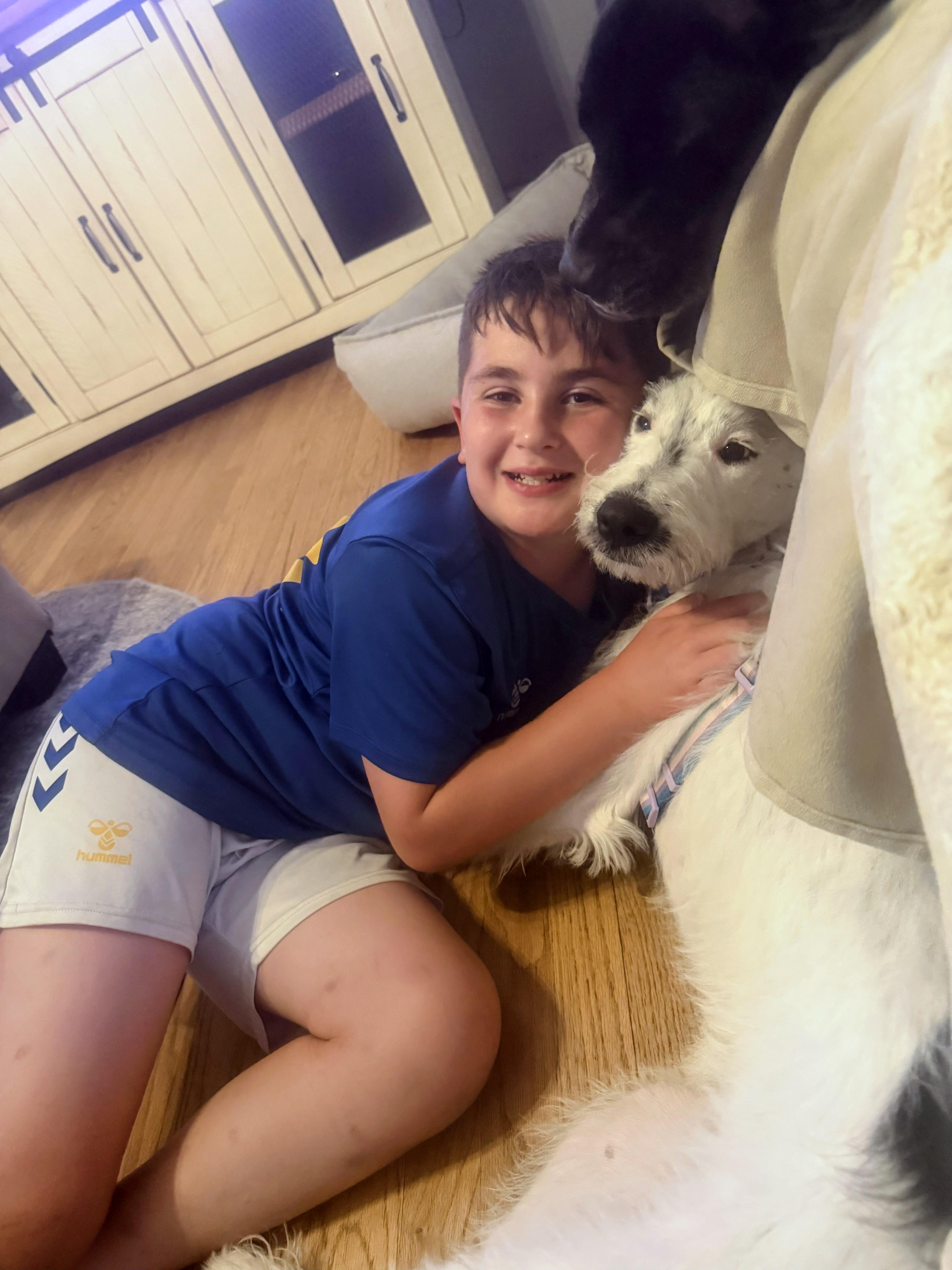 Ava - Fostered in NJ, a ADOPTABLE mixed breed in Willington, CT image 5/6