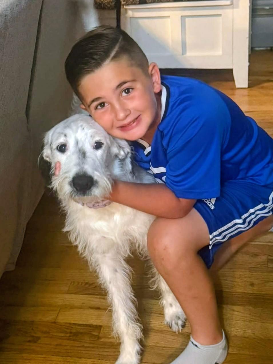 Ava - Fostered in NJ, a ADOPTABLE mixed breed in Willington, CT image 1/6