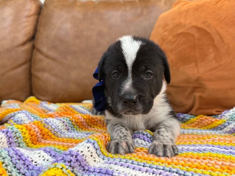 Galaxy Space — thumbnail 2