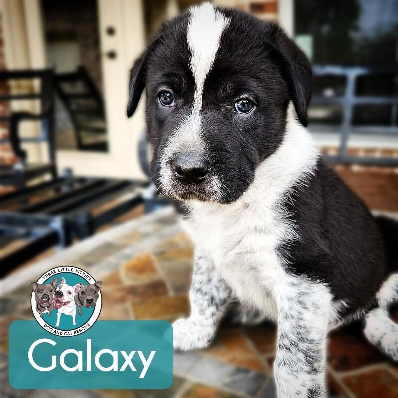 Galaxy Space — thumbnail 5