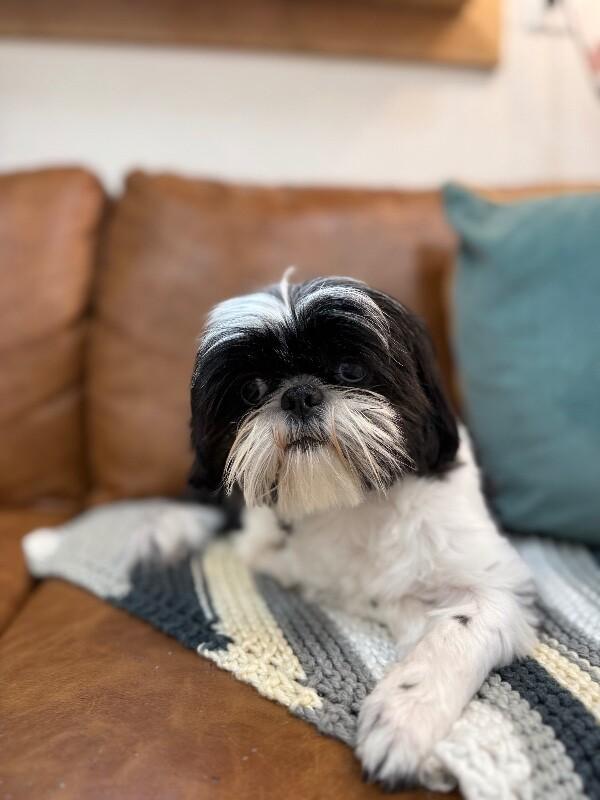 Bandit Hoverfluff Love Muffin — thumbnail 3