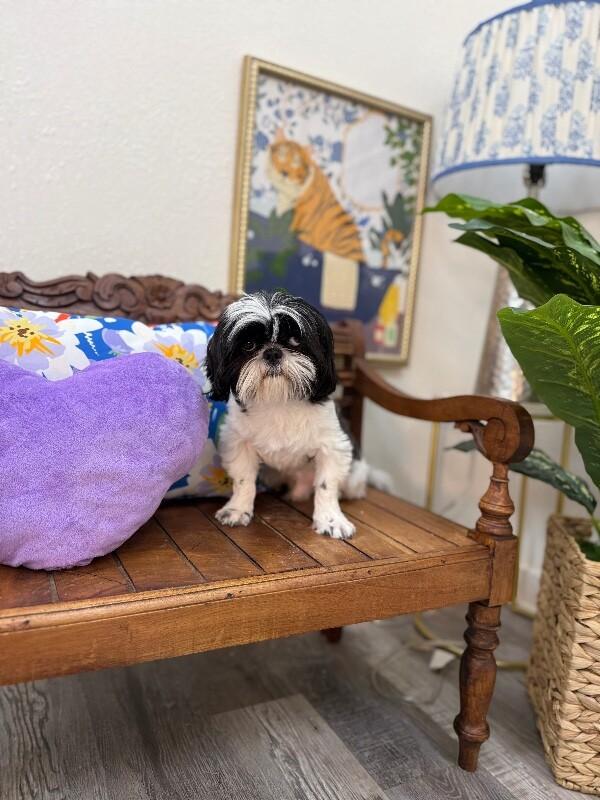 Bandit Hoverfluff Love Muffin — thumbnail 5