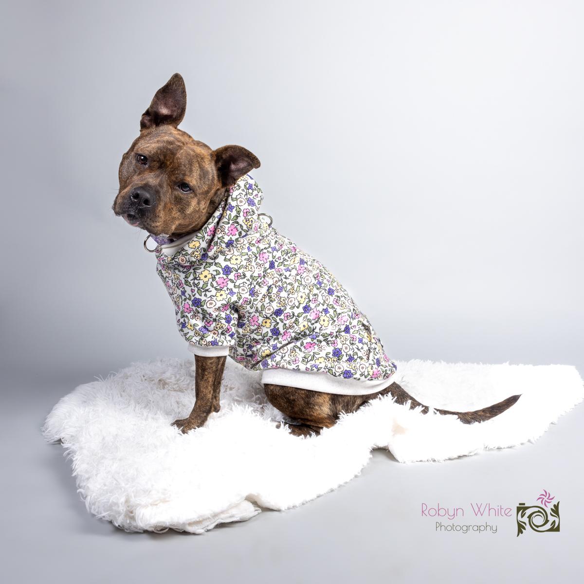 Nellie photo 6