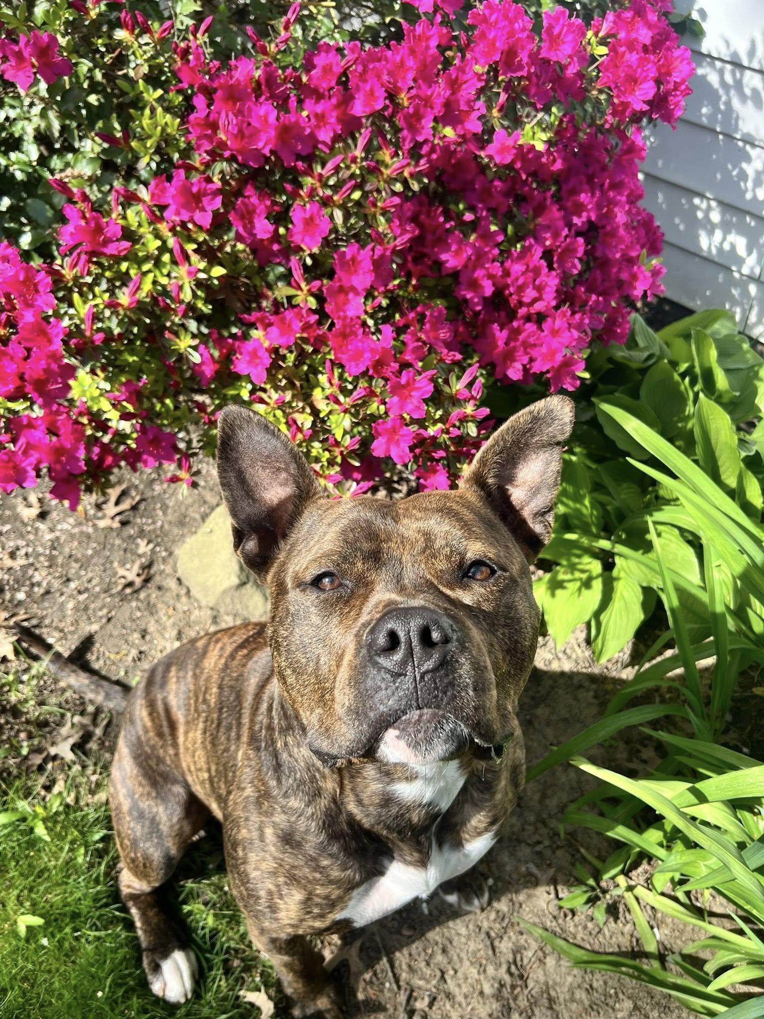 Nellie photo 2