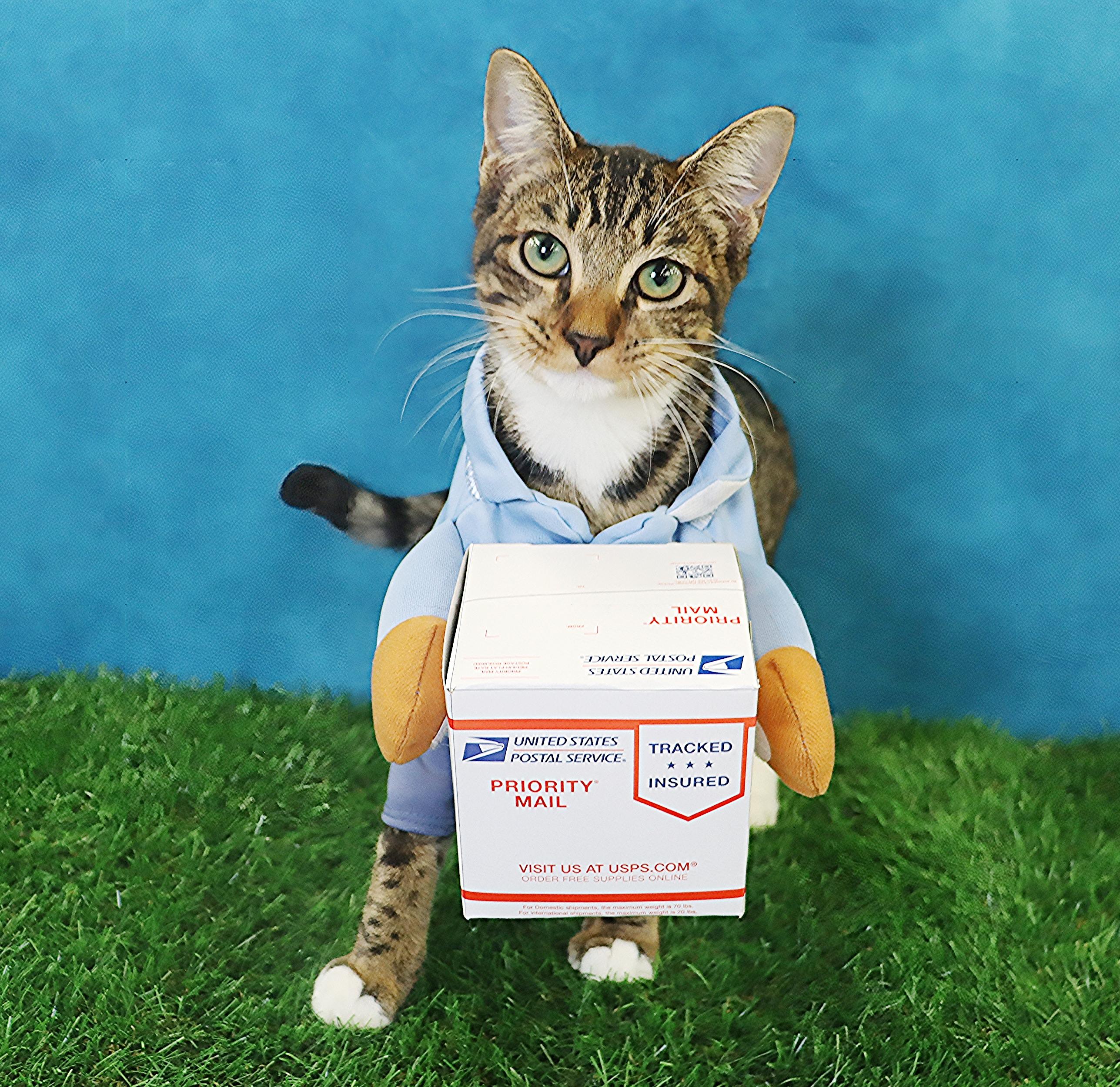 Sugarfoot! As friendly as they come!