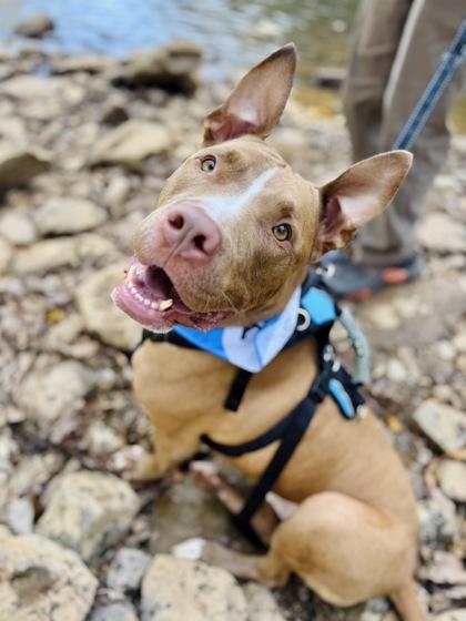 The Miz (Jupiter) (Foster)