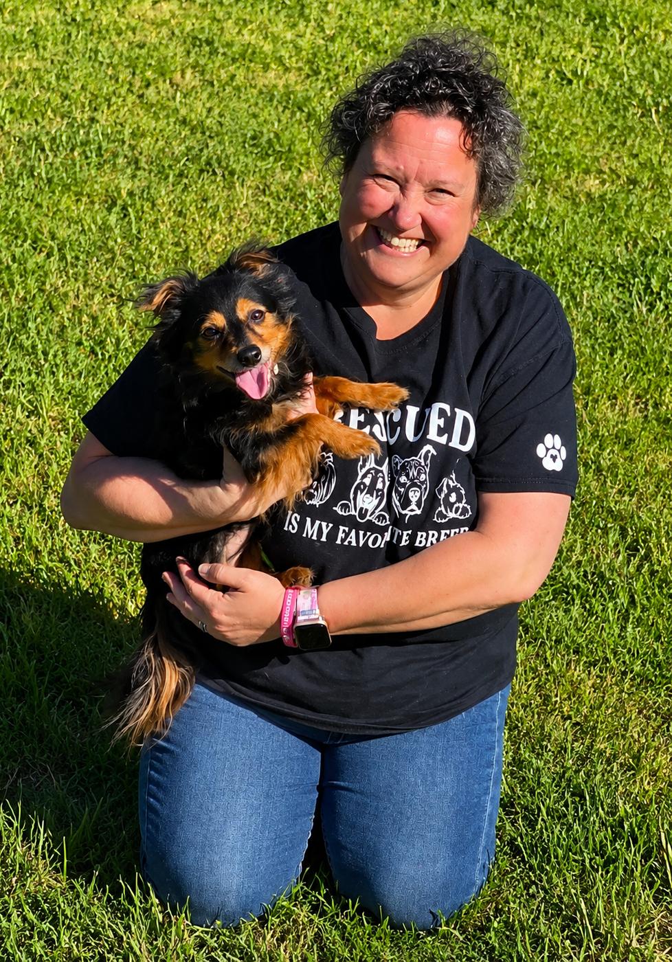 Marley, an adopted Chihuahua in Cheboygan, MI image 1/4