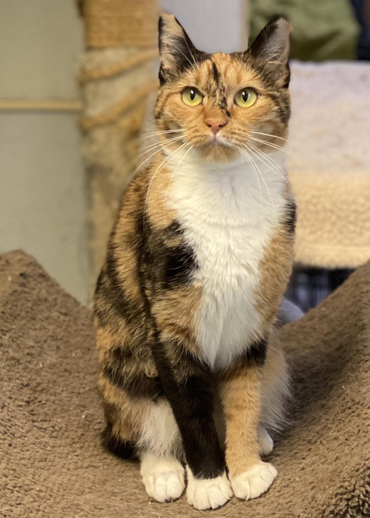 Mimi (very friendly)