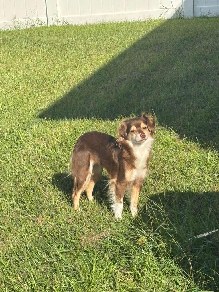 Ginny