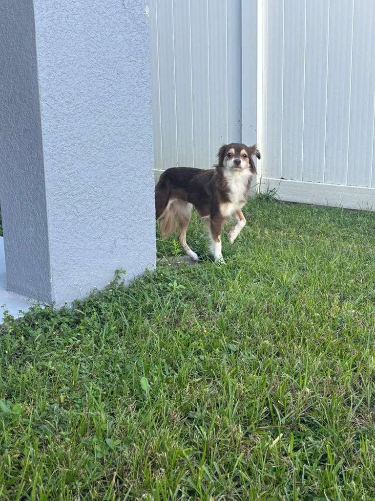 Ginny
