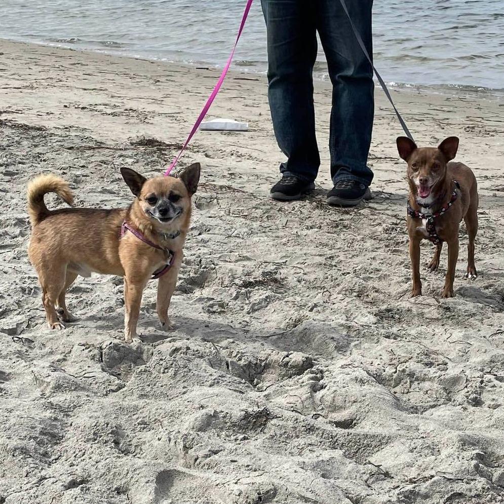 Valkyrie (FF Inbee) — thumbnail 2