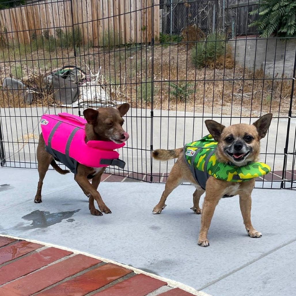 Valkyrie (FF Inbee) — thumbnail 4