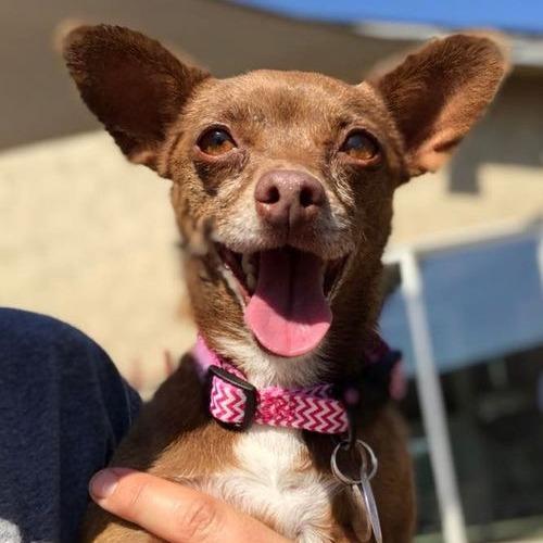 Valkyrie (FF Inbee) — thumbnail 5