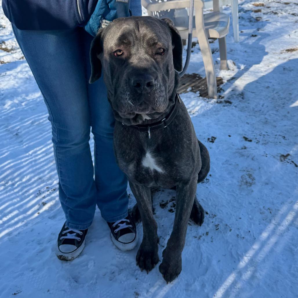 Bubblegum Baddie thumbnail 2