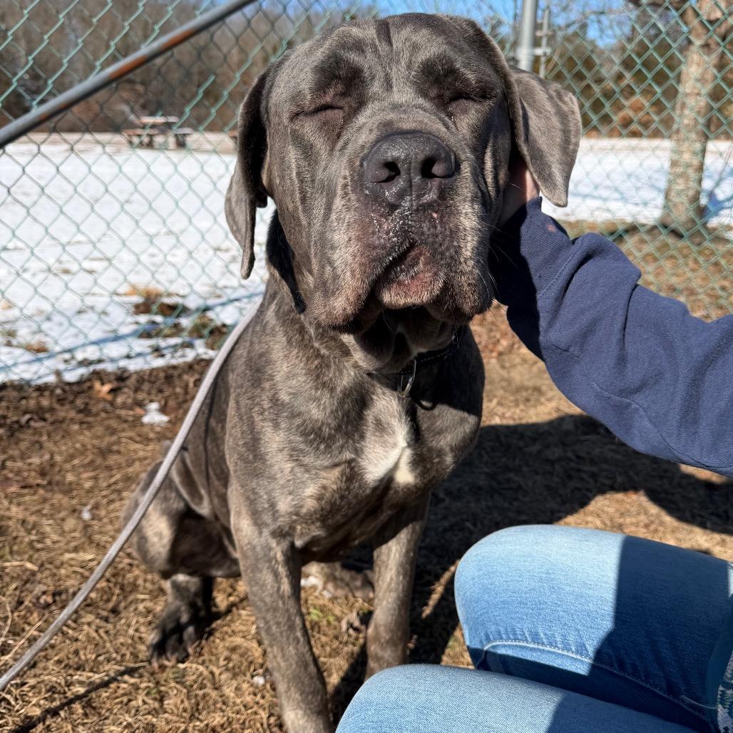 Bubblegum Baddie thumbnail 3