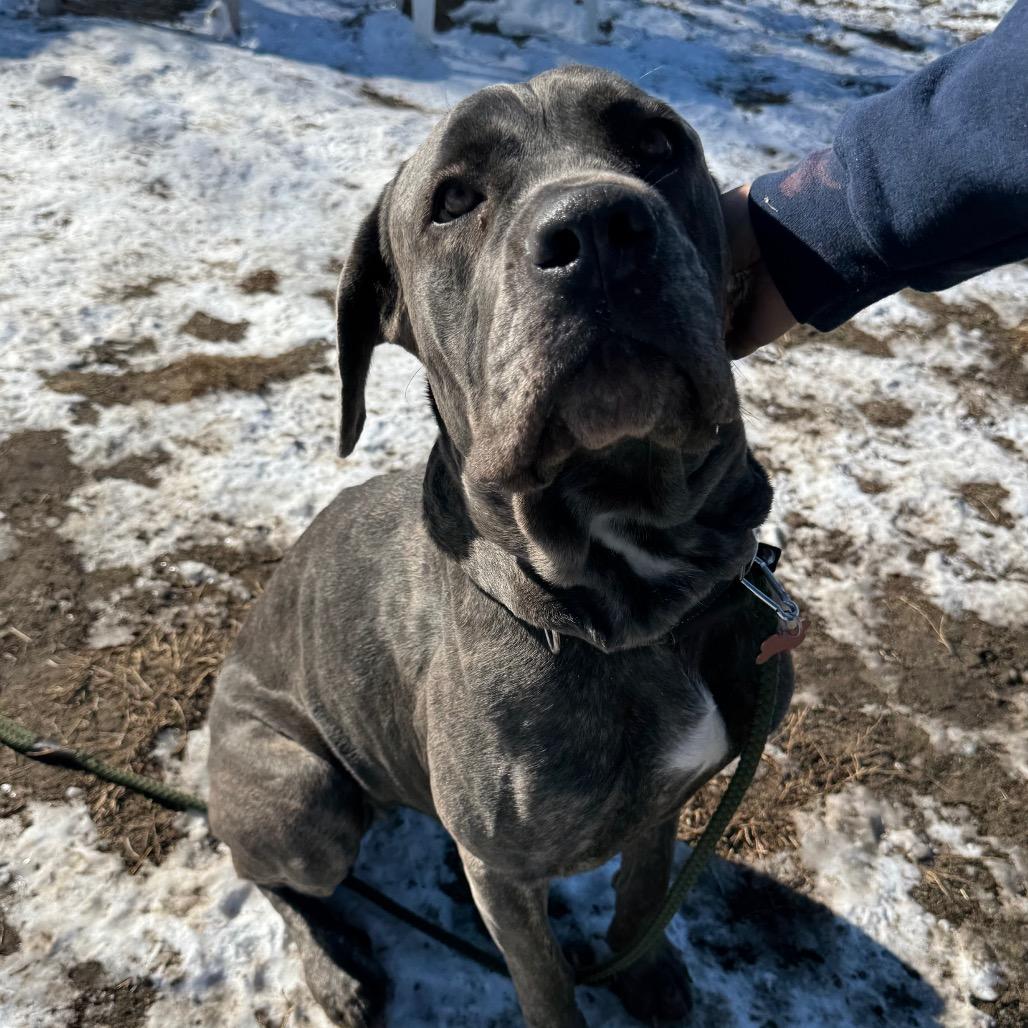 Bubblegum Baddie thumbnail 4