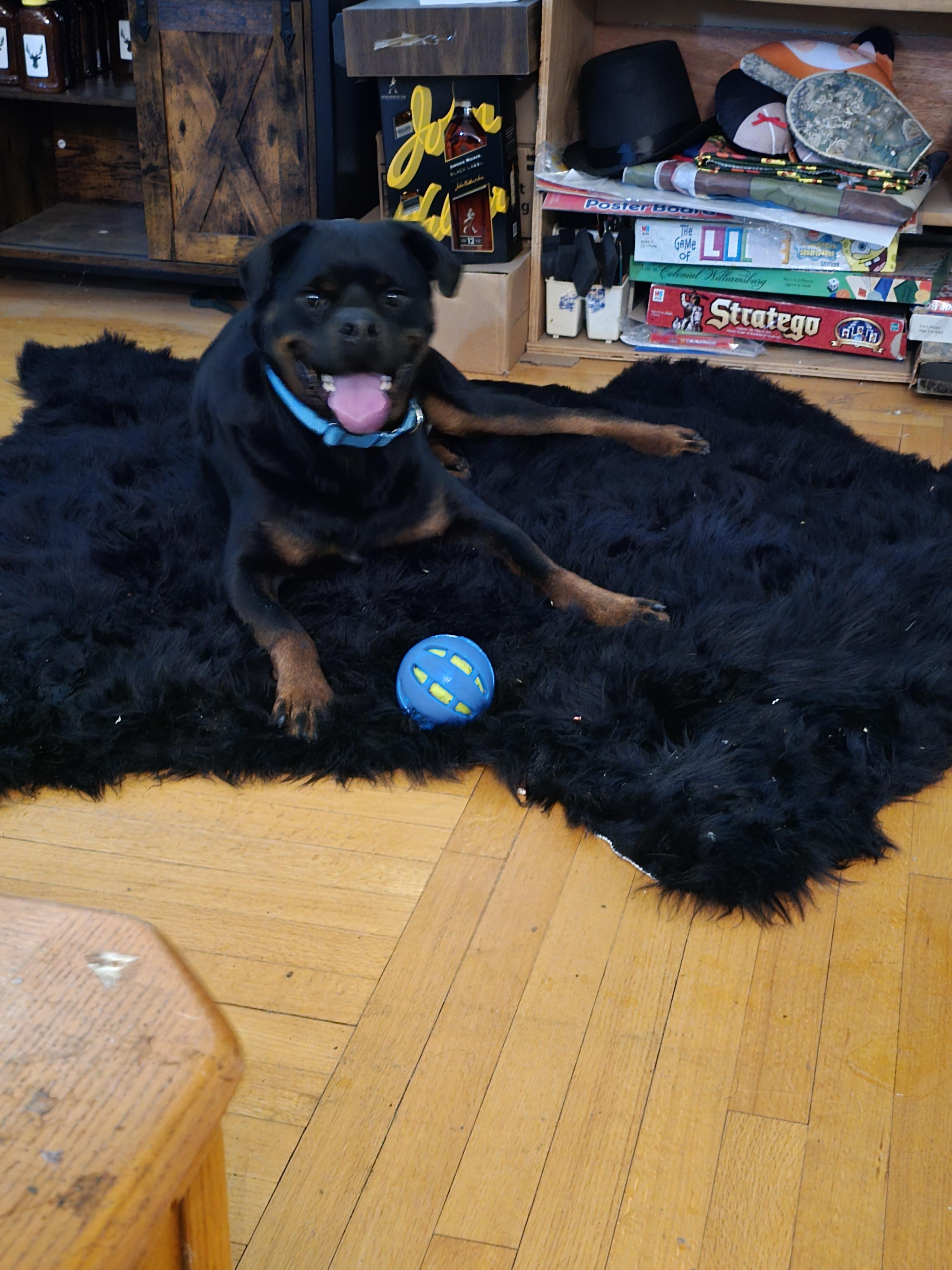 Roscoe