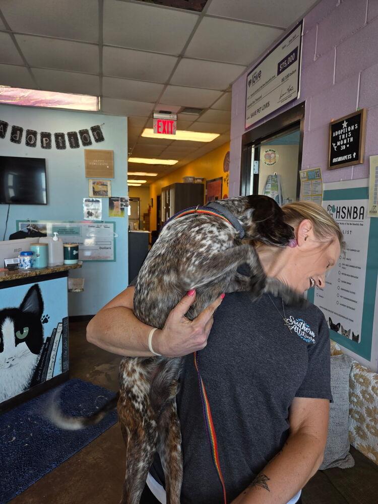 Enlarge Bandit, a Adoptable mixed breed in Lockhart, TX image 3/6