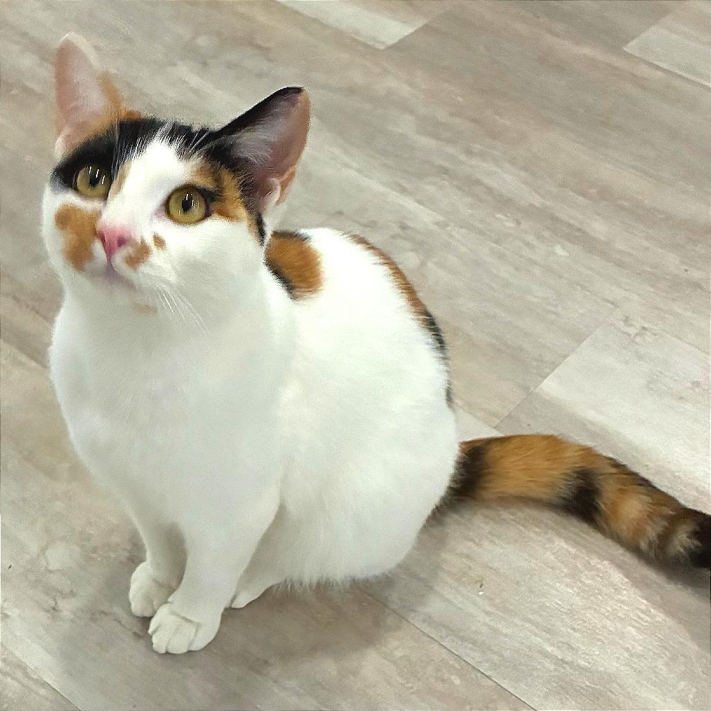 Baby Ruth — thumbnail 2