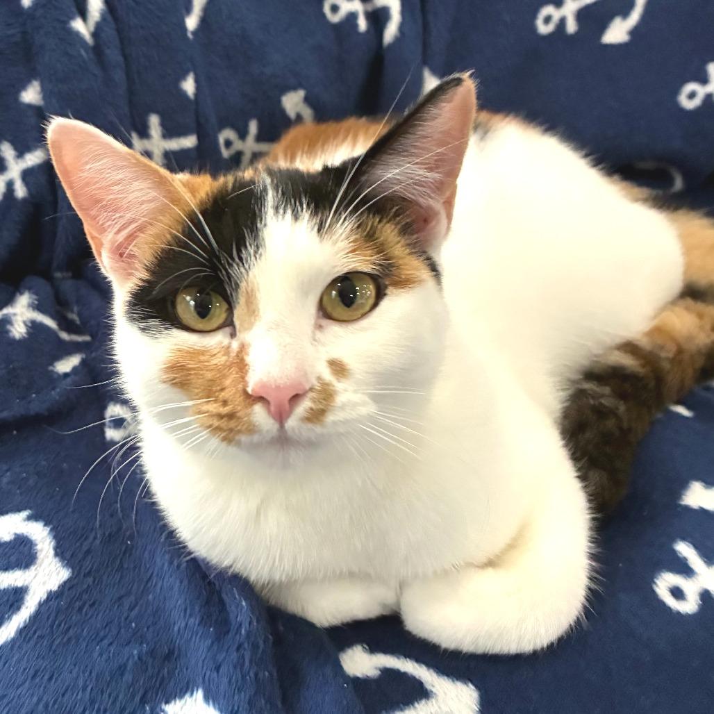 Baby Ruth — thumbnail 3