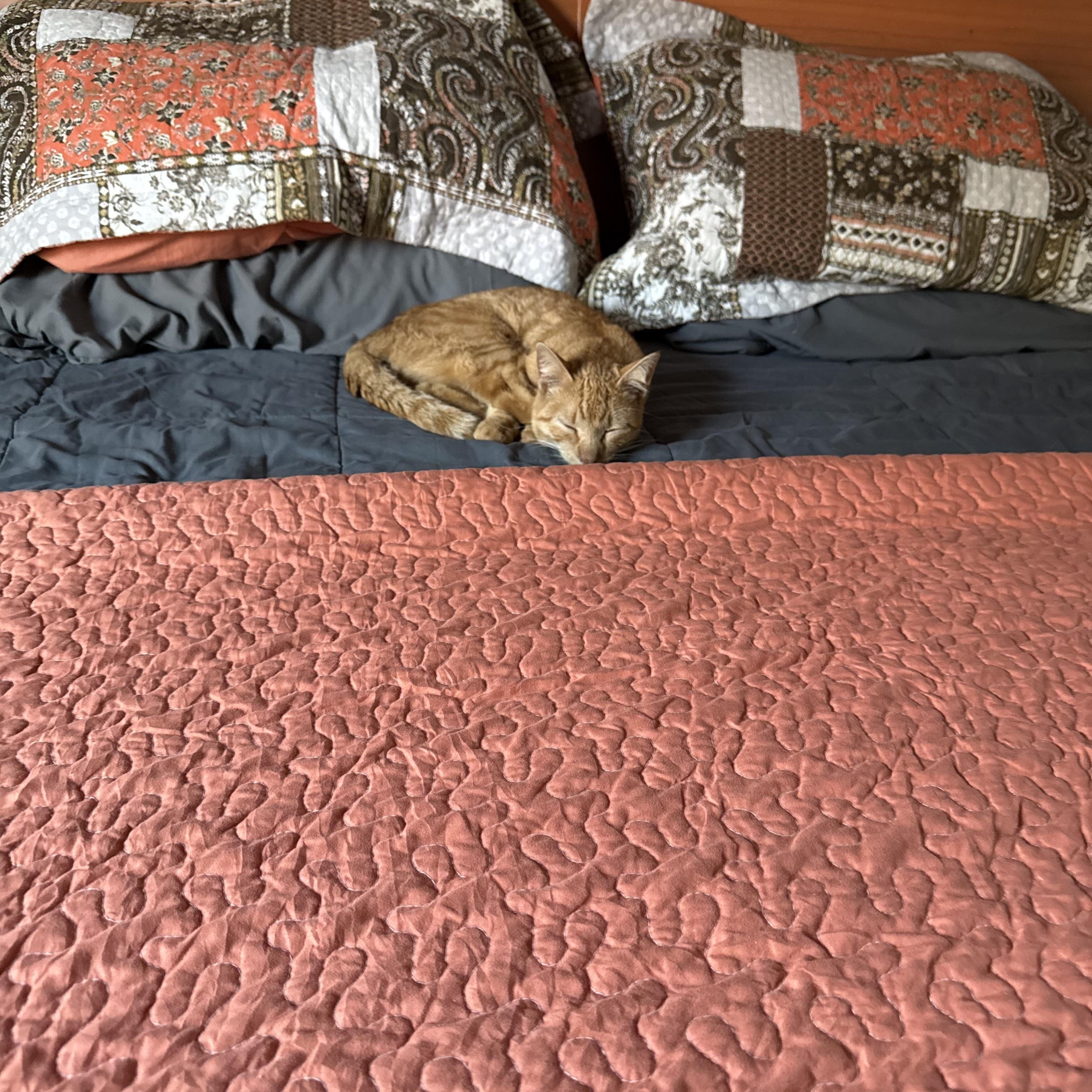 Lucian — thumbnail 5