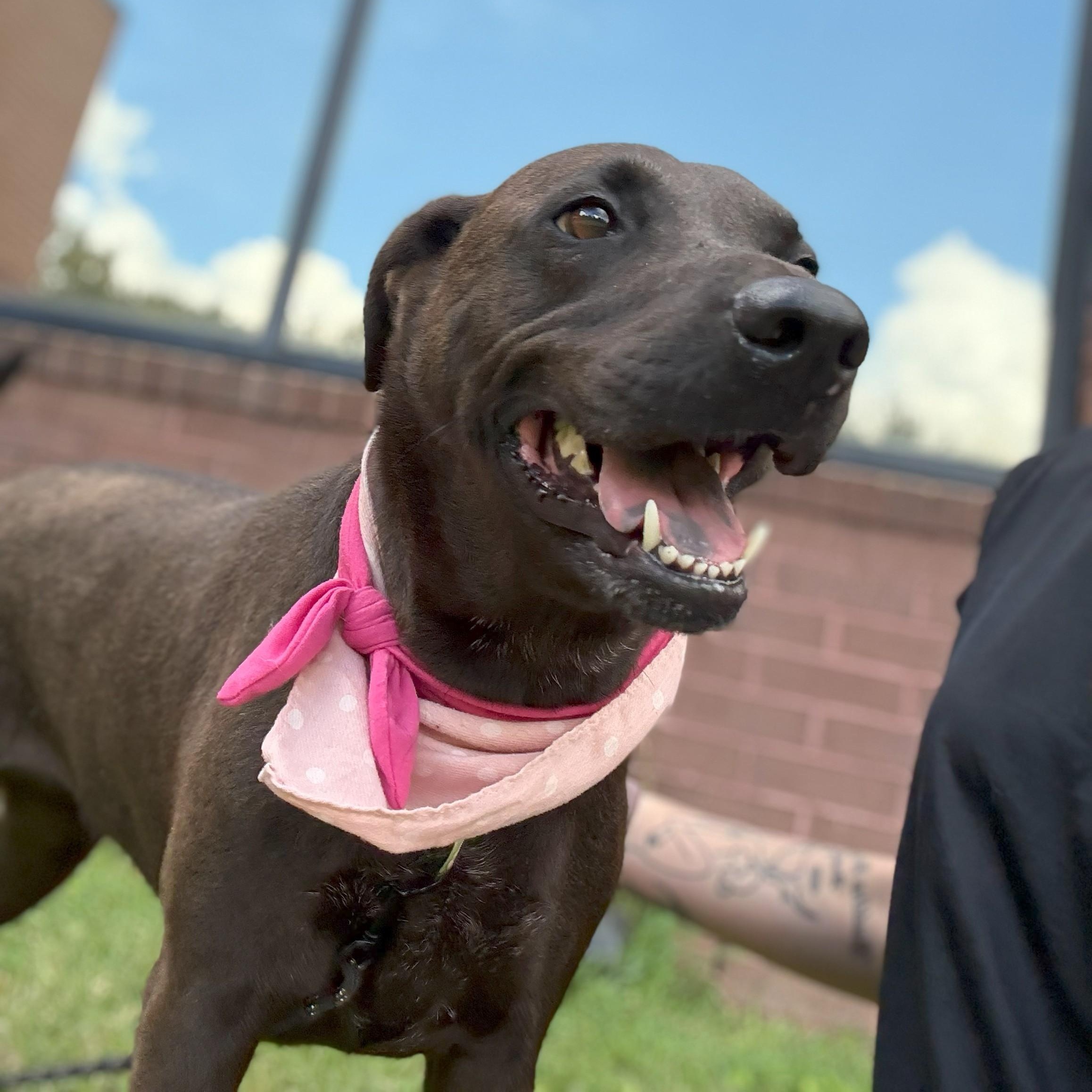 Carmen Coco Puff — thumbnail 5