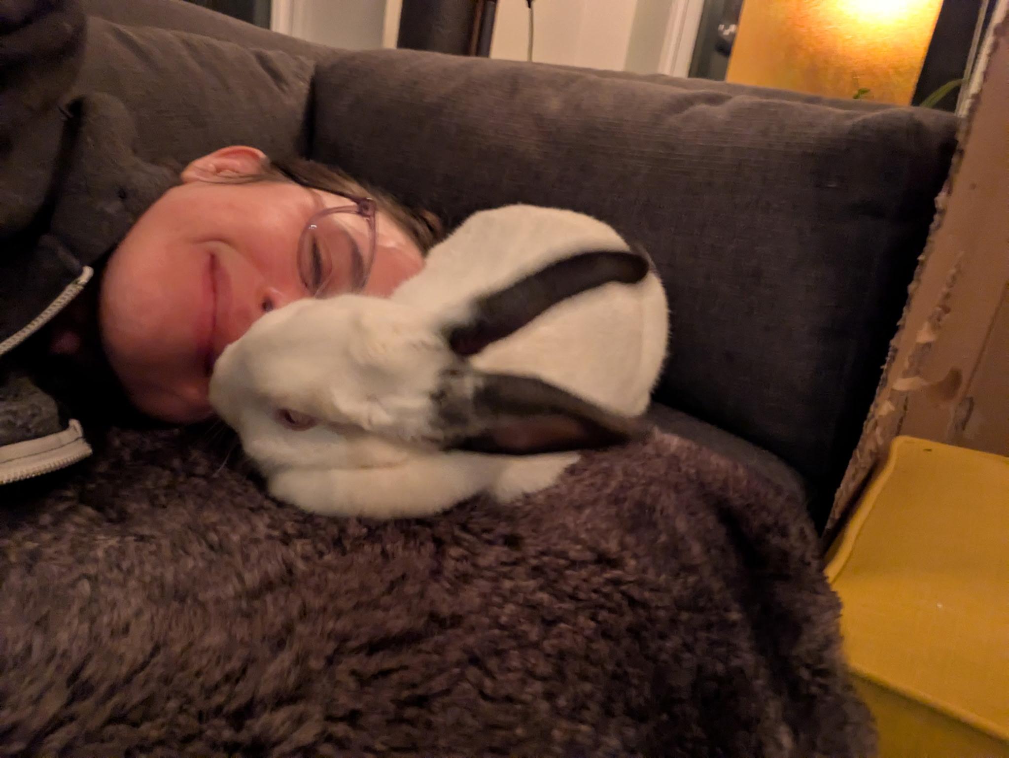 Enlarge Lola, a Adoptable Mini Lop in Willowbrook, IL image 2/6