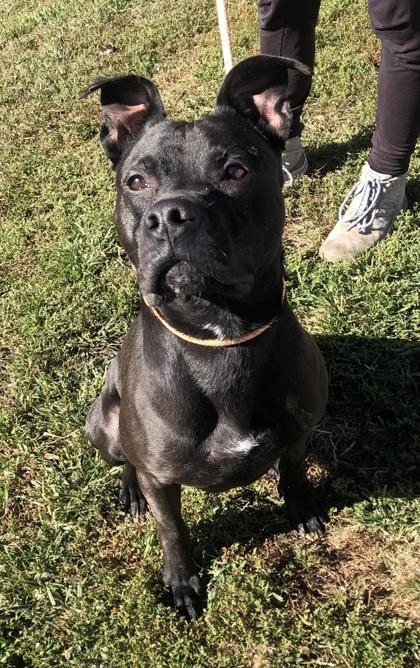 Zoro — thumbnail 2