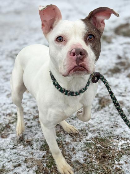 Dori — thumbnail 2