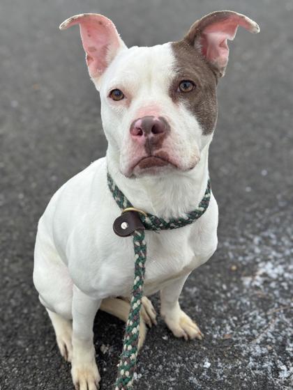 Dori — thumbnail 4