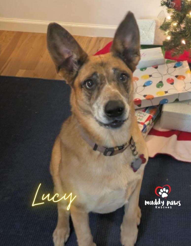 Lucy — thumbnail 5