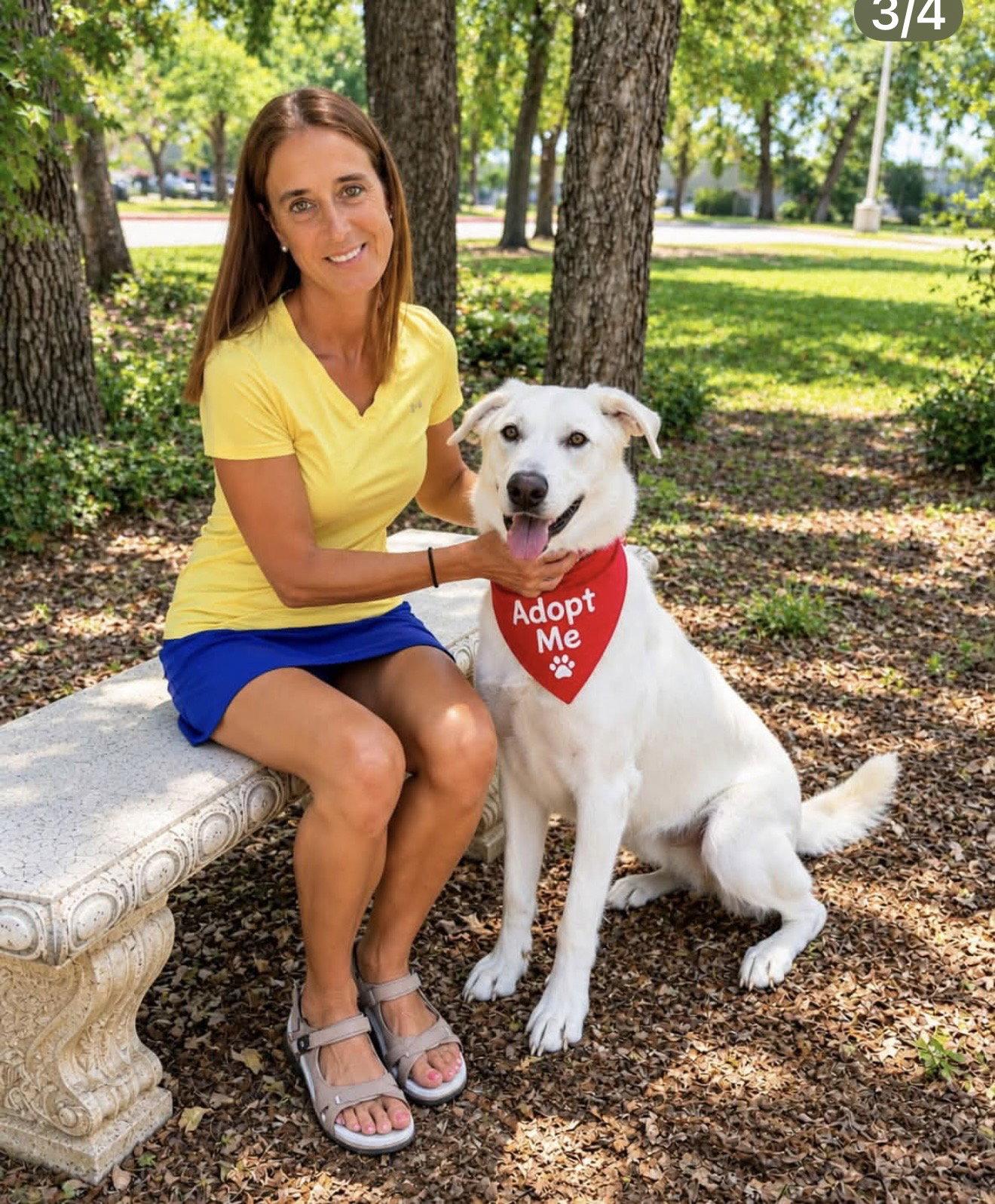 Enlarge Ruben, a Adoptable mixed breed in Euless, TX image 2/3