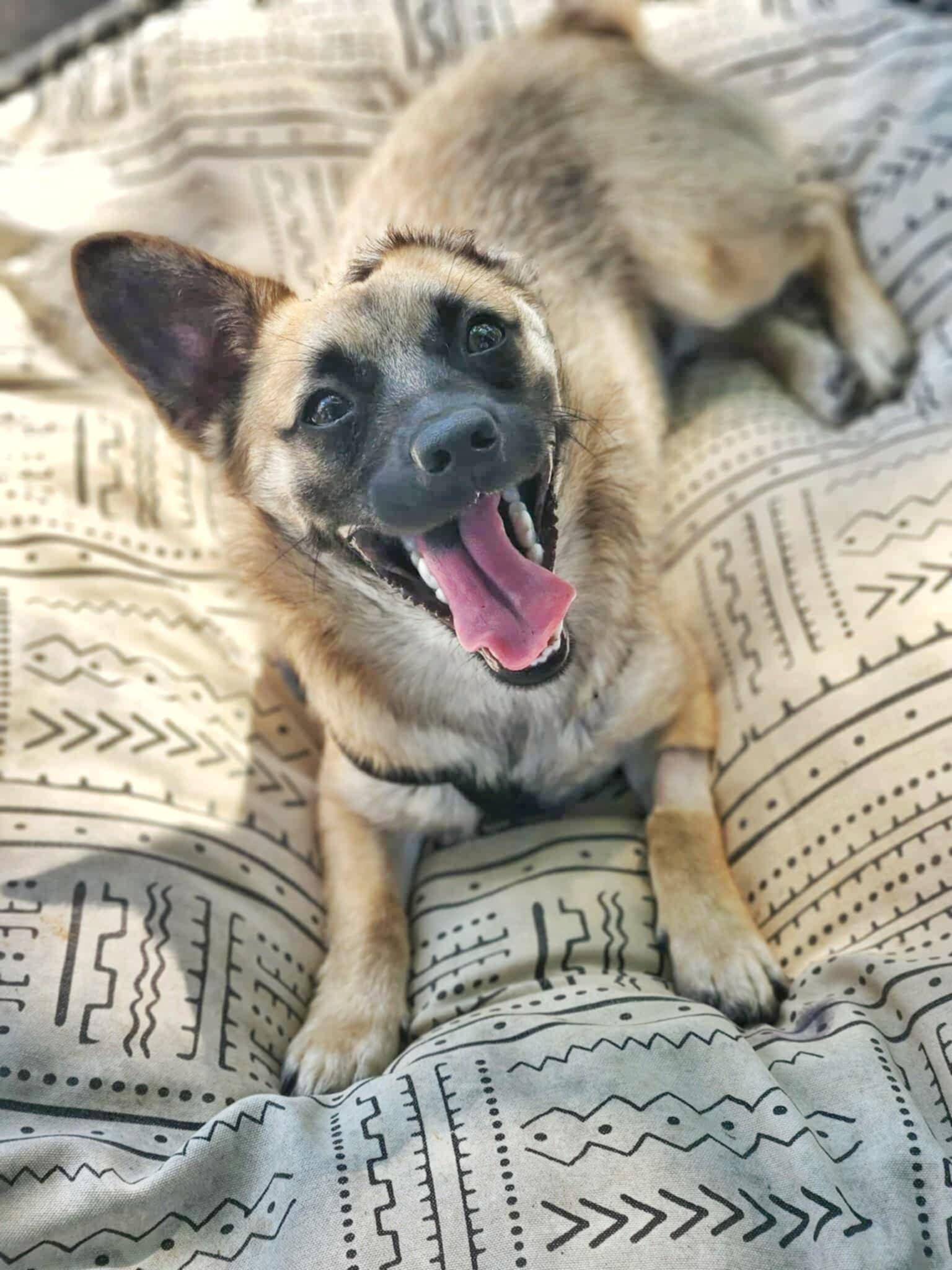 Jack Jack photo 4
