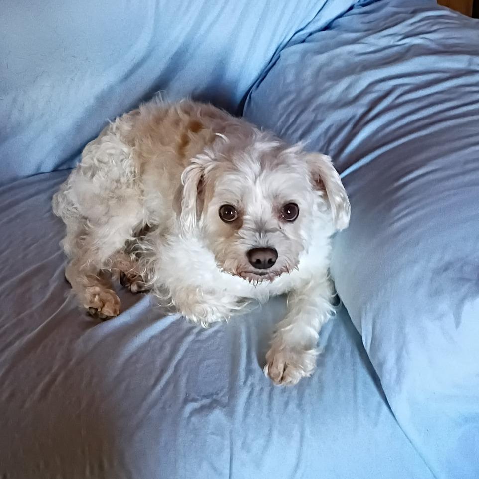 Jackson — thumbnail 2