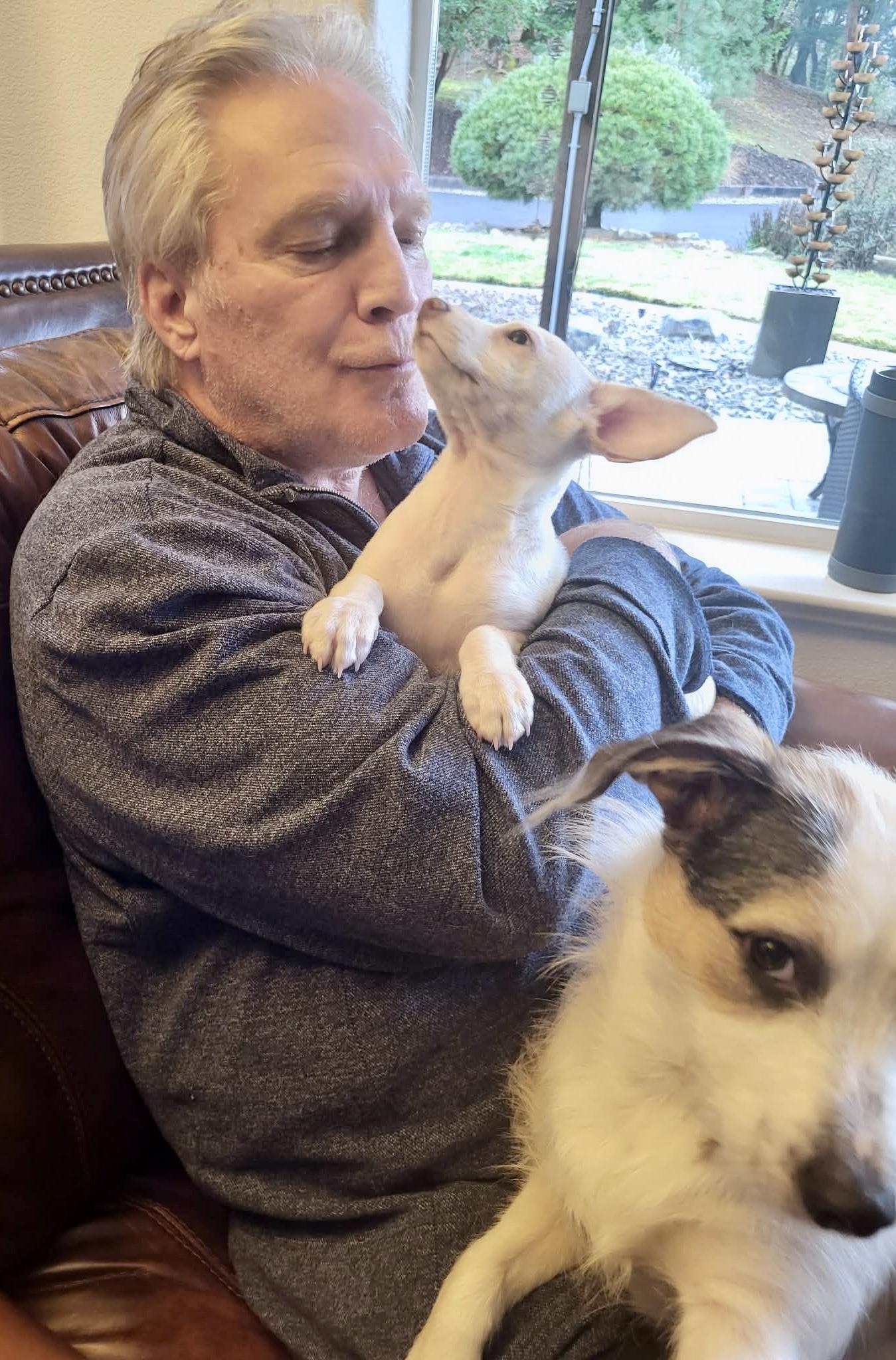 Enlarge Jelly Roll, an adopted mixed breed in Roseburg, OR image 3/6