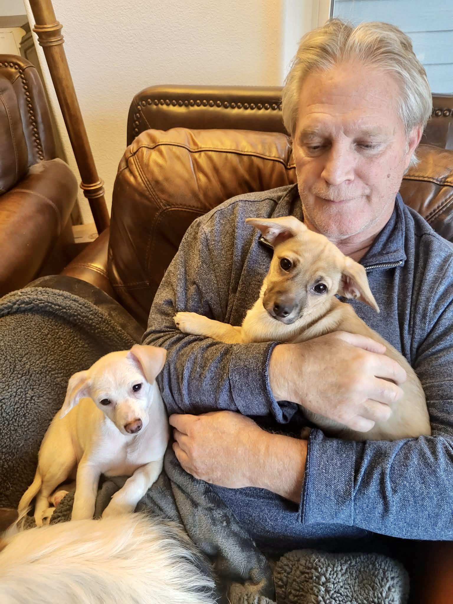 Enlarge Jelly Roll, an adopted mixed breed in Roseburg, OR image 5/6