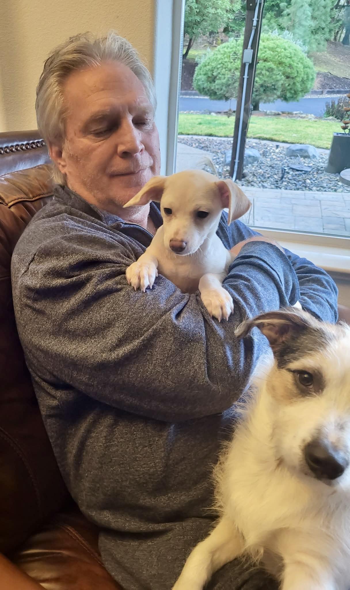 Enlarge Jelly Roll, an adopted mixed breed in Roseburg, OR image 6/6