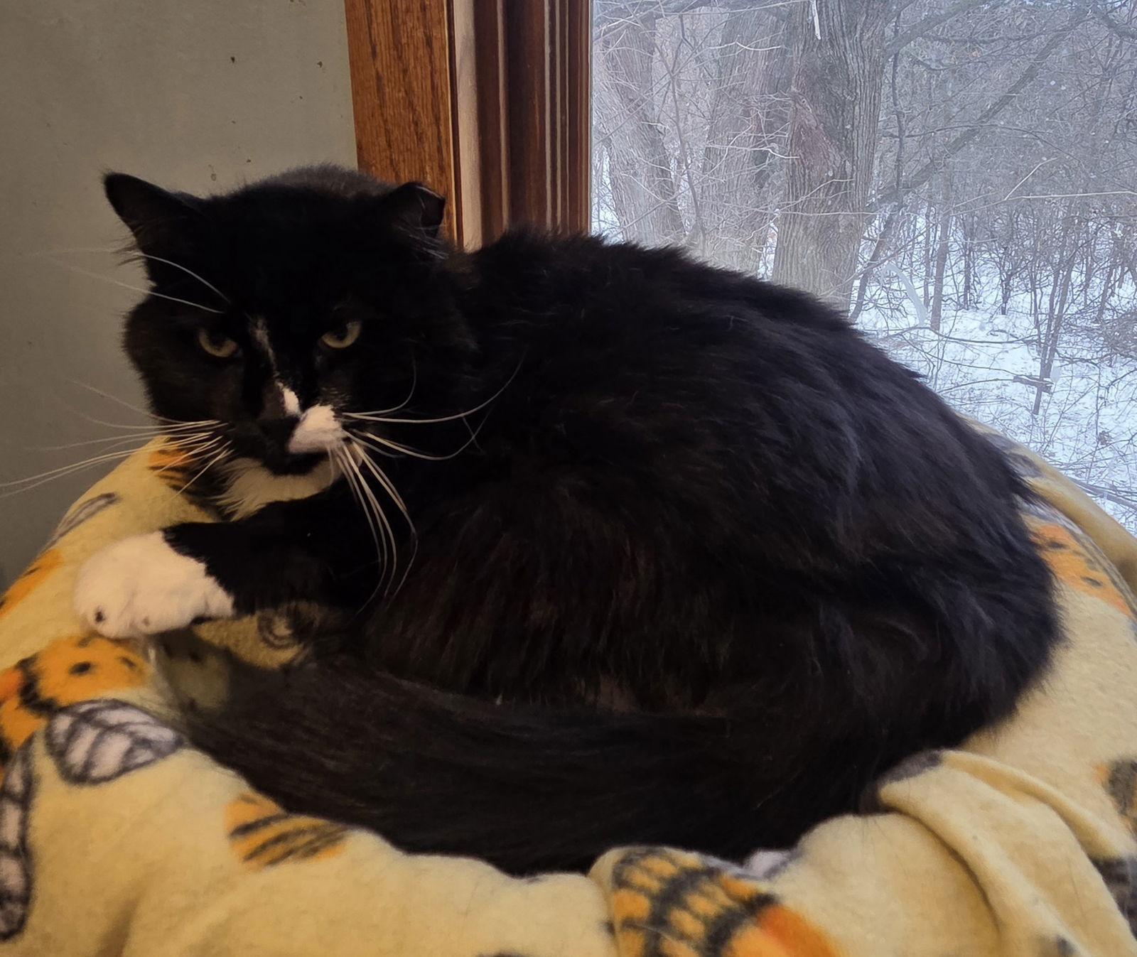 Loretta — thumbnail 3