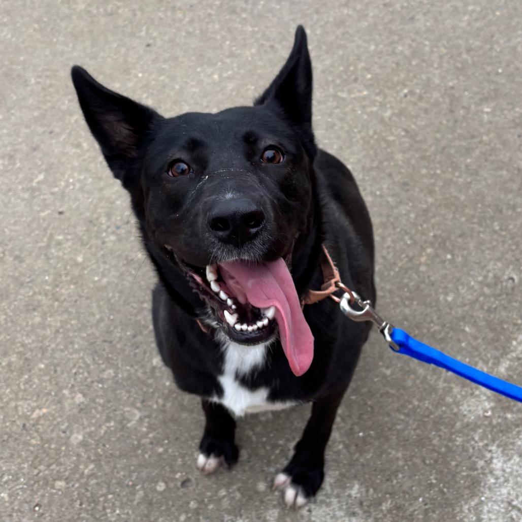 Missy — thumbnail 2