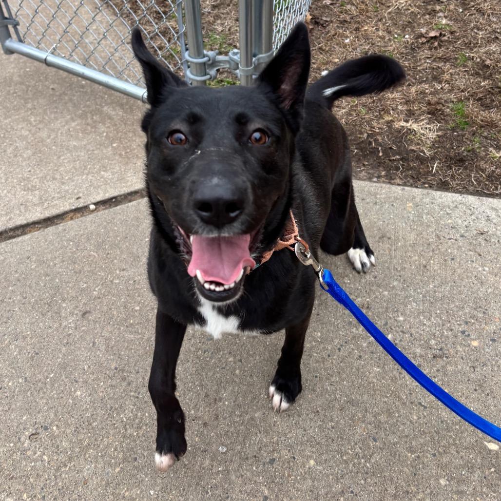 Missy — thumbnail 3