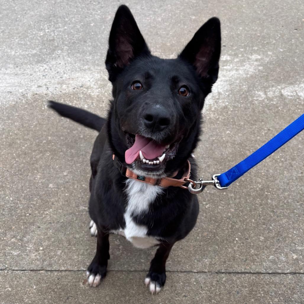 Missy — thumbnail 4