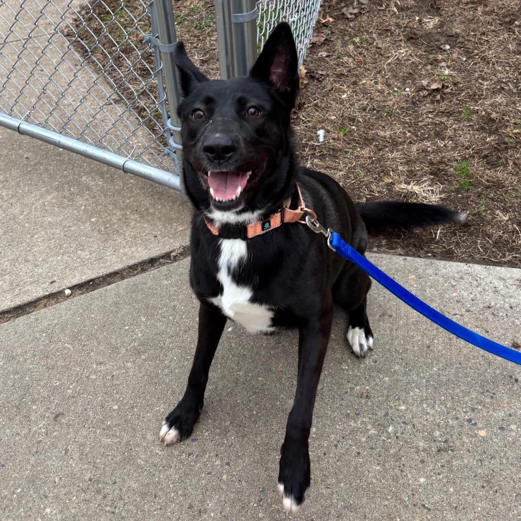 Missy — thumbnail 5