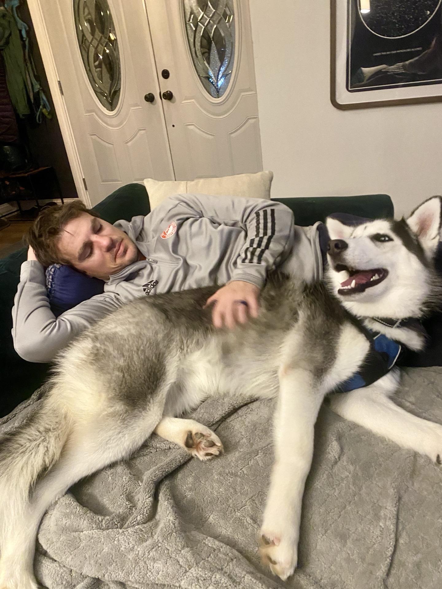 Enlarge Hades, a Adoptable mixed breed in Itasca, IL image 6/6