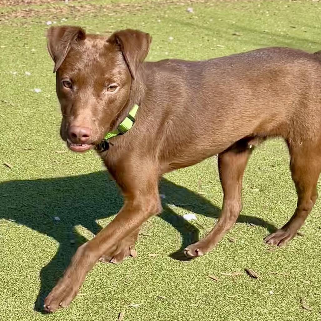 Redmond — thumbnail 2