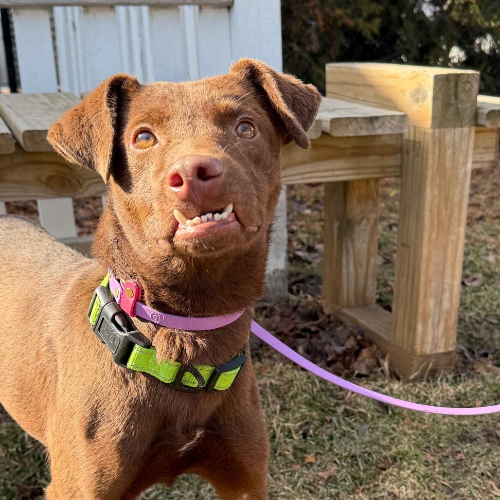 Redmond — thumbnail 3