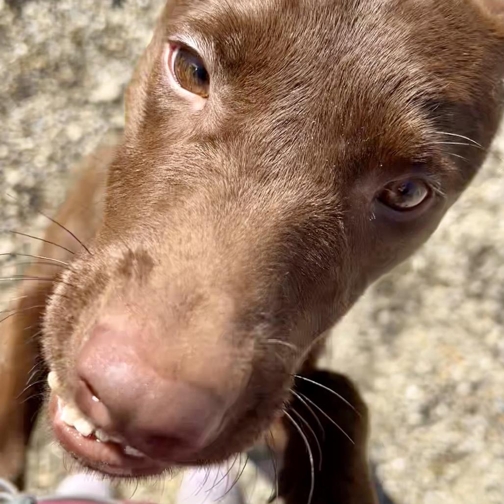 Redmond — thumbnail 4